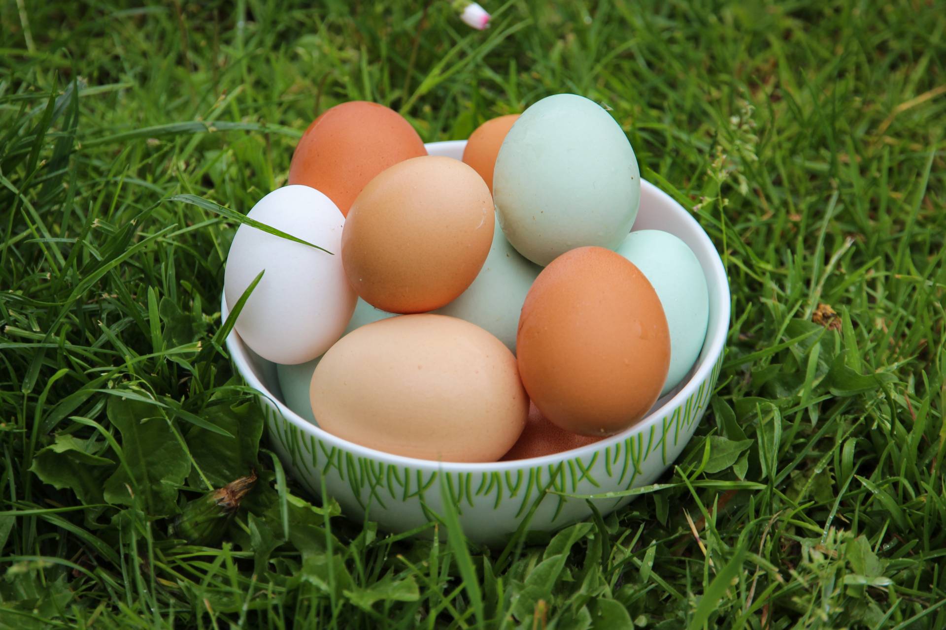 Eier in verschiedenen Farben