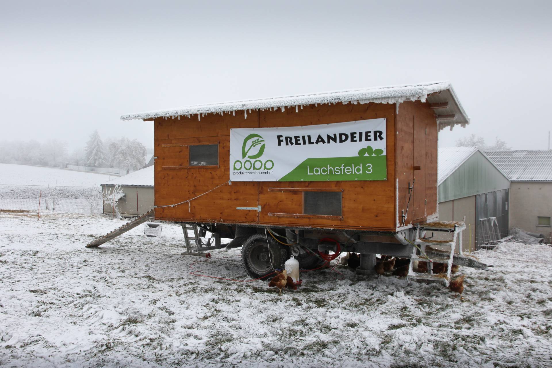 Der mobile Hühnerstall im Winter